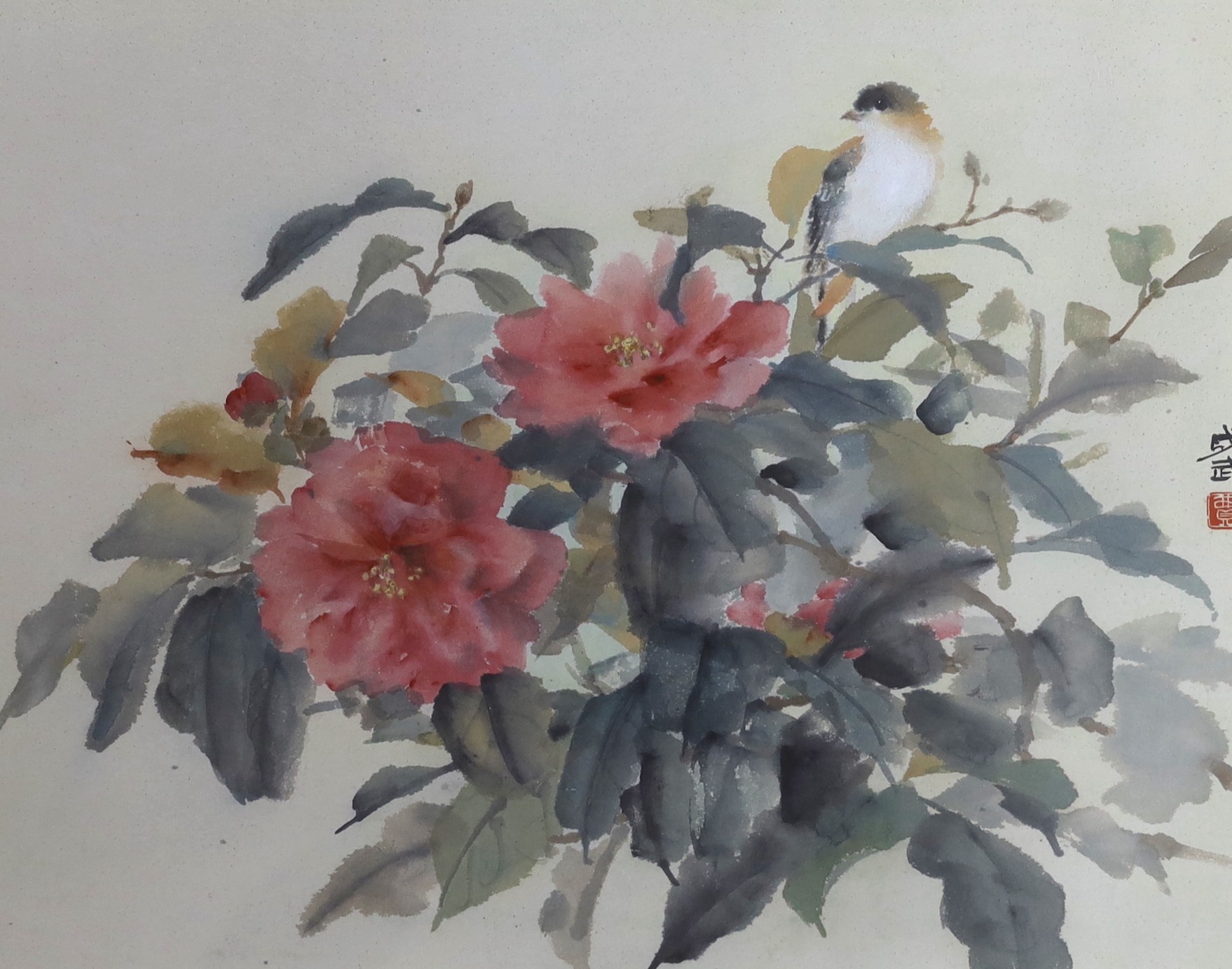 Fei Chengwu (Chinese, 1914-2001), watercolour, Bird and camellia, 1963 Leicester Galleries Exhibition label verso, 32 x 40cm
